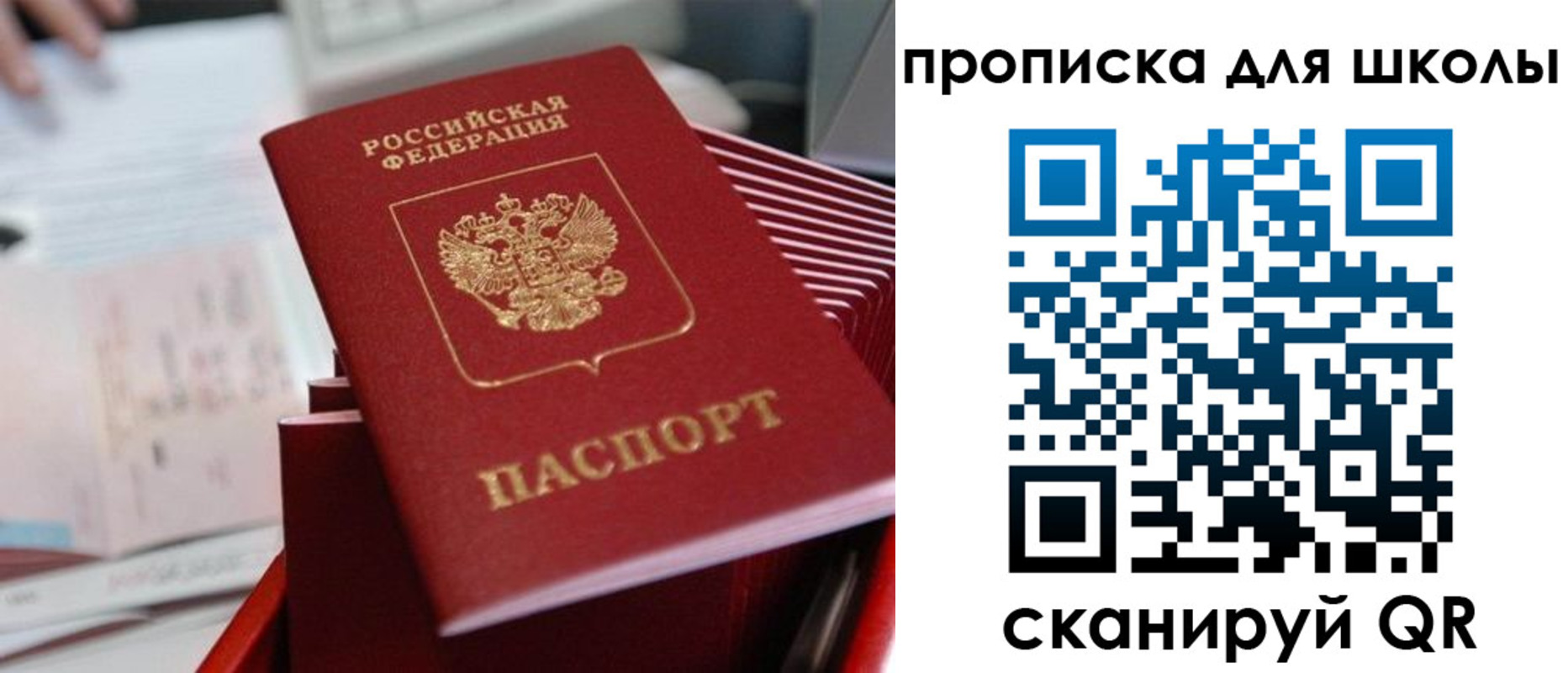 прописка для школы в Сосновоборске